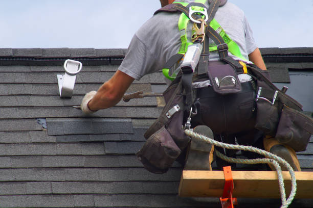 Best Roof Maintenance Services  in Woodland Beach, MI