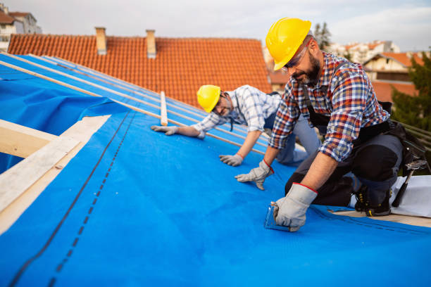 Best Roof Restoration Services  in Woodland Beach, MI
