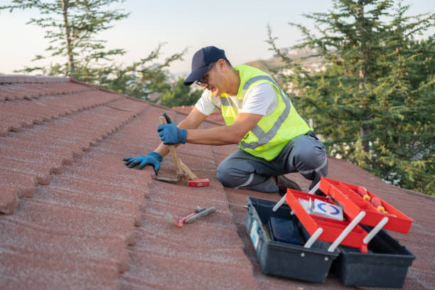 Best Metal Roofing Contractor  in Woodland Beach, MI