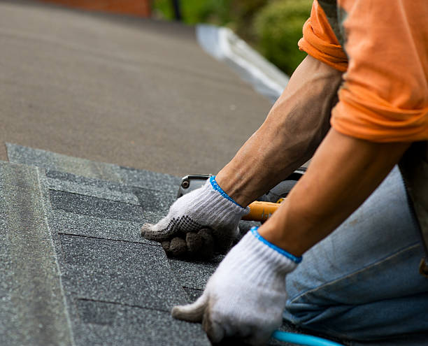 Best Roof Gutter Cleaning  in Woodland Beach, MI