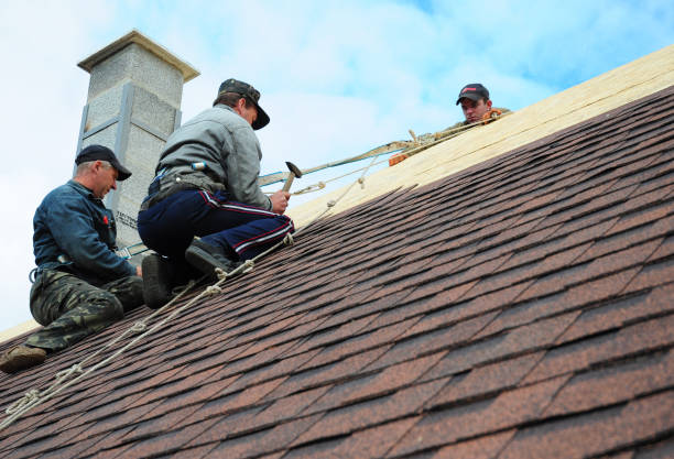 Best Roofing Contractor Near Me  in Woodland Beach, MI